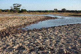 Daily Life On Marajó Island At The Mouth Of The Amazon River