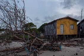 Daily Life On Marajó Island At The Mouth Of The Amazon River