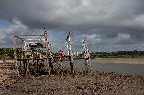 Daily Life On Marajó Island At The Mouth Of The Amazon River