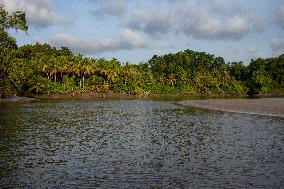 Daily Life On Marajó Island At The Mouth Of The Amazon River