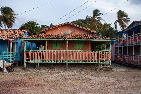 Daily Life On Marajó Island At The Mouth Of The Amazon River