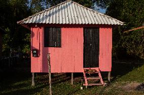 Daily Life On Marajó Island At The Mouth Of The Amazon River