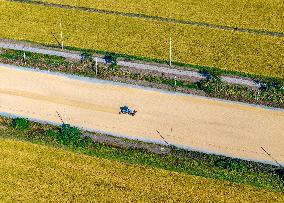 Rice Harvest in Huai'an