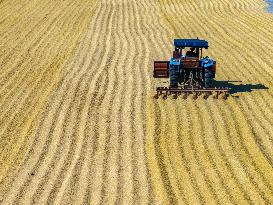 Rice Harvest in Huai'an