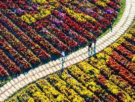 Chrysanthemum Exhibition in Huai'an