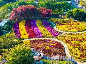 Chrysanthemum Exhibition in Huai'an