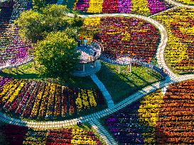 Chrysanthemum Exhibition in Huai'an