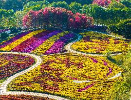 Chrysanthemum Exhibition in Huai'an