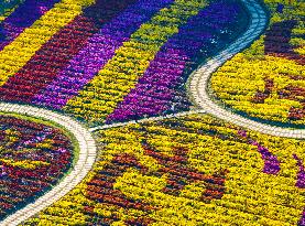 Chrysanthemum Exhibition in Huai'an