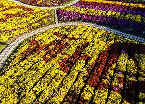 Chrysanthemum Exhibition in Huai'an