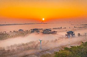 Advection Fog Appearing in Wafang Village