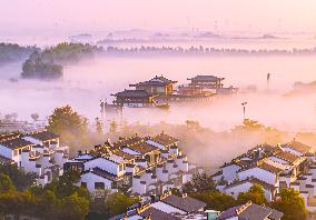 Advection Fog Appearing in Wafang Village