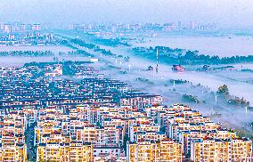 Advection Fog Appearing in Wafang Village