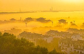 Advection Fog Appearing in Wafang Village