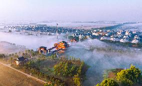 Advection Fog Appearing in Wafang Village