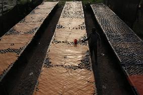 Tannery Industry In Bangladesh