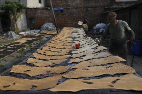 Tannery Industry In Bangladesh