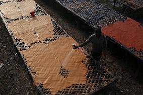 Tannery Industry In Bangladesh