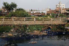 Tannery Industry In Bangladesh