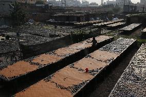 Tannery Industry In Bangladesh