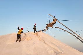 Workers Raking Salt in Guanxi Salt Farm in Lianyungang