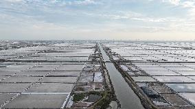 Workers Raking Salt in Guanxi Salt Farm in Lianyungang