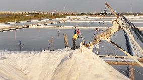 Workers Raking Salt in Guanxi Salt Farm in Lianyungang