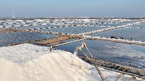 Workers Raking Salt in Guanxi Salt Farm in Lianyungang