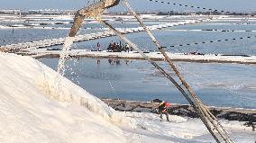 Workers Raking Salt in Guanxi Salt Farm in Lianyungang