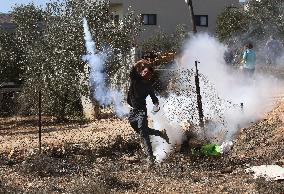 Palestinian Farmers Clash With Israeli Forces - West Bank