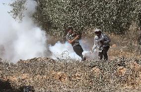 Palestinian Farmers Clash With Israeli Forces - West Bank