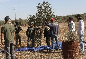 Palestinian Farmers Clash With Israeli Forces - West Bank