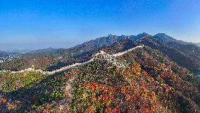 Great Wall Autumn Scenery - China