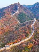 Great Wall Autumn Scenery - China