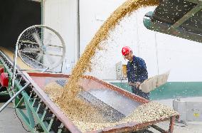 Warehouse of Central Grain Reserve in Lianyungang