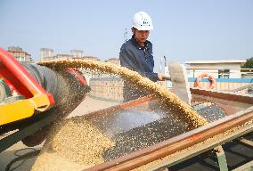 Warehouse of Central Grain Reserve in Lianyungang