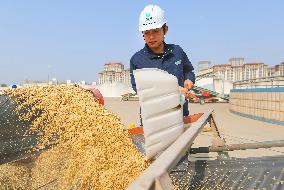 Warehouse of Central Grain Reserve in Lianyungang