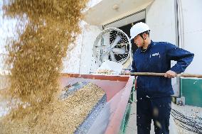 Warehouse of Central Grain Reserve in Lianyungang