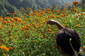 Tihar Festival Vibes In Nepal.