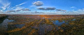 Dafeng Milu Nature Reserve - China