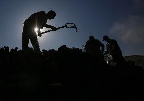 Coal Pruduction Facility In Gaza, Palestine