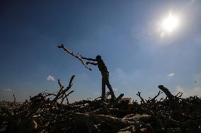 Coal Pruduction Facility In Gaza, Palestine