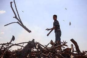 Coal Pruduction Facility In Gaza, Palestine