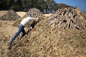 Coal Pruduction Facility In Gaza, Palestine