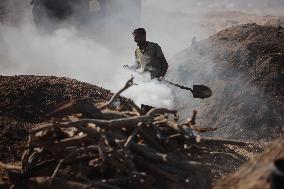 Coal Pruduction Facility In Gaza, Palestine