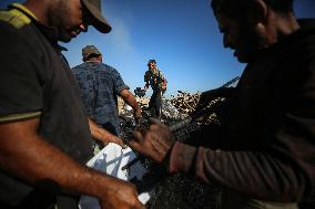 Coal Pruduction Facility In Gaza, Palestine