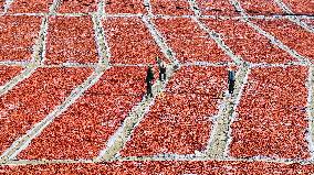 Autumn Harvest - China