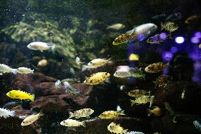 Different Animals Are Seen In A Zoo In Stuttgart, Germany