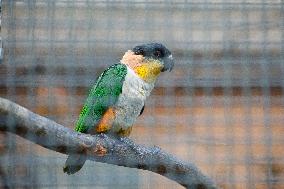 Different Animals Are Seen In A Zoo In Stuttgart, Germany