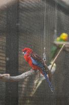 Different Animals Are Seen In A Zoo In Stuttgart, Germany